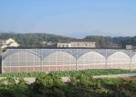 Fruits Flower 8m Single Span PE Plastic Film Greenhouse
