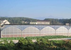 Quality Fruits Flower 8m Single Span PE Plastic Film Greenhouse wholesale