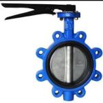 2 inch ductile iron fully Lug style type butterfly valve manufacturer