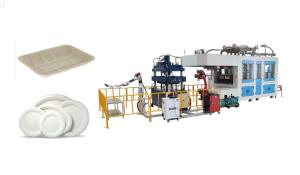 China Automatic Pulp Molding Bagasse Plate Machine Replace Foam on sale