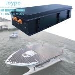 96V 100Ah lithium Electric Catamarans LiFePO4 Solar Battery for Tour Boat