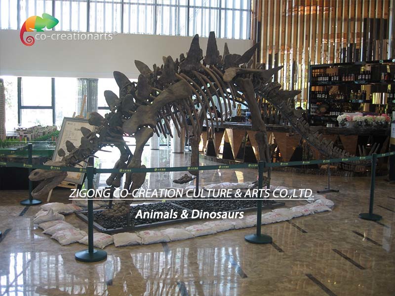 ISO Zigong Real Size Dinosaur Skeleton Replica For Museum Exhibition