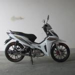 6.5KW Front Disc Brake TR135-NG Cub Motorcycle