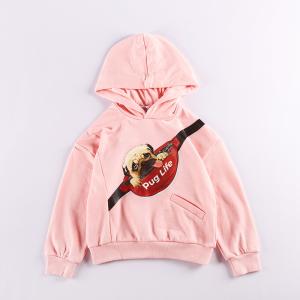 Quality Kids Casual Pure Cotton Terry Cloth Hoodie For Autumn wholesale