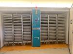 Stainless Steel Single Stage Incubator 1000W Power