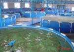 Corrosion Resistance Fiberglass Fish Tank