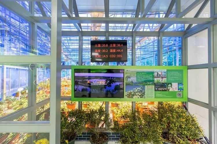Wet Curtain Controlled Inlluminating Greenhouse