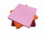 17g Soft Disposable Paper Napkin For Holiday All Season