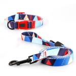 Wear Resistant Pet Collars Leashes S M L Adjustable 30cm Dog Collar