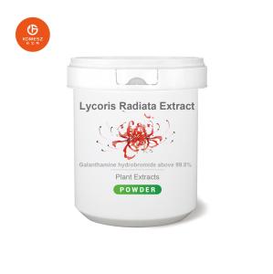 Quality 99.8% Galanthamine Lycoris Radiata Herb Extract for Myasthenia, Myopathy wholesale