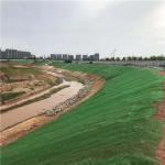 14mm Thickness HDPE Reinforced 3D Geomat The Best Service for Your Construction