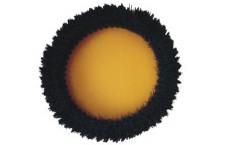 Quality Custom 13 inch Soft Floor Cleaning Machine Brushes Black bristle wholesale