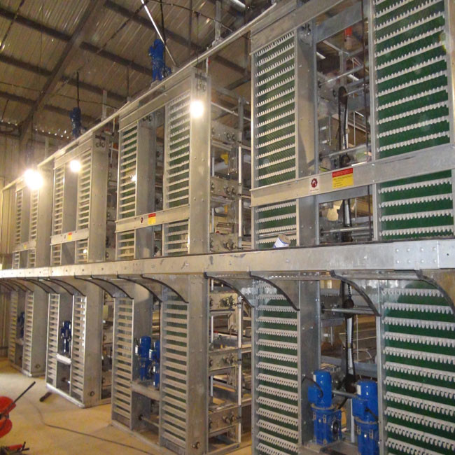 H Type Big Size Automatic Egg Layer Chicken Cage Hot Dip Galvanized Material