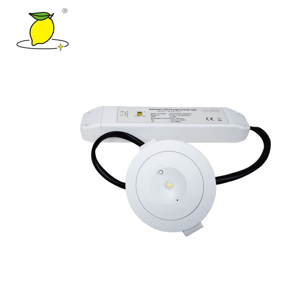 Professional Rechargeable LED Emergency Downlight 3W For Supermarket