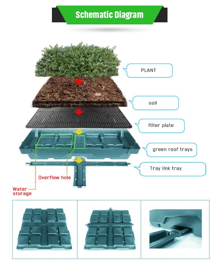 Seed Plant Tray for Everyday Season and Flower/Green Plant in Rooftop Decoration