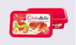 Colorful Housewares Promotional Plastic Food Storage Containers For Yoghourt Or