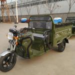 265kg Tricycle For Adults Motorized