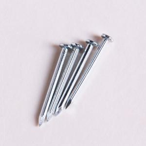 Quality Galvanized Steel Construction Nails Flat Head High Strength Customized wholesale