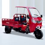 200cc Engine Other Tricycles Tri Moto 3 Wheeler Motorcycle with 50*100 Chassis