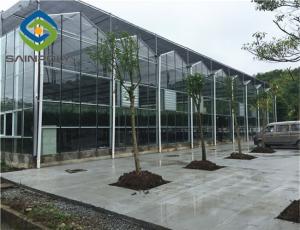 Quality 10.8m Cucumber Glass Greenhouse Intelligent Automatic Control wholesale
