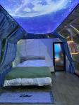 Modern Intelligent Outdoor Prefab Star Room Waterproof polycarbonate Domes For