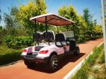 Pink Color 4 Seater Golf Cart Wheelbase 1630mm AC Motor 3.5 KW Ground Clearance