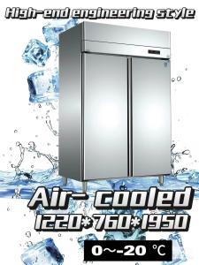 Quality Air Cooled Double Door Catering Freezer 1000L Upright Chiller 2 Door wholesale