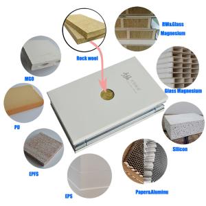 Quality Customized Cleanroom Wall Panels Construction Cleanroom Wall Systems 50mm 75mm wholesale