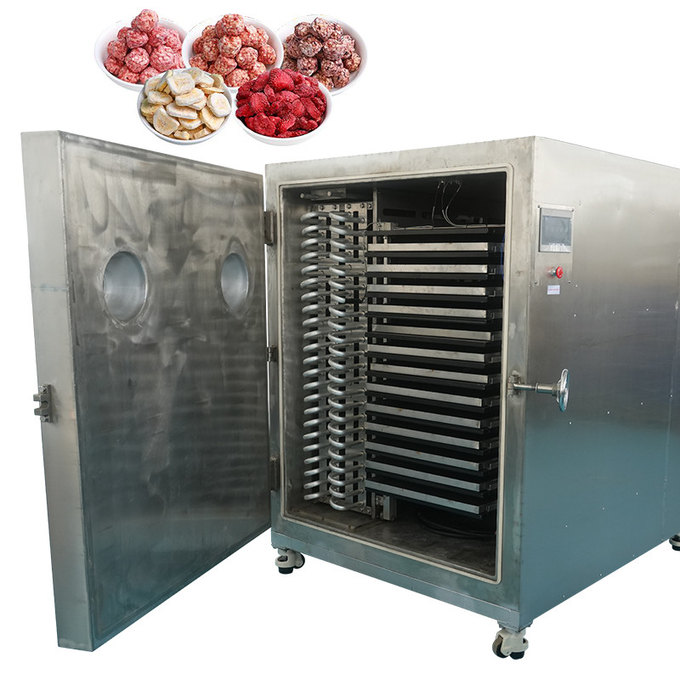 Industrial Freeze Dryer Machine For Drying Fruits Vegetables
