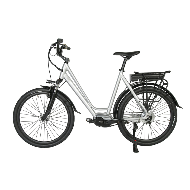 DOMANCA 750w Lady Electric Bike Sensor Smart Type and 18 Speed Gears for City Riding