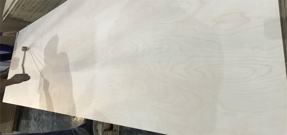 Full Poplar Core 1220*2440mm E0 CARB Laminate Faced Birch Plywood
