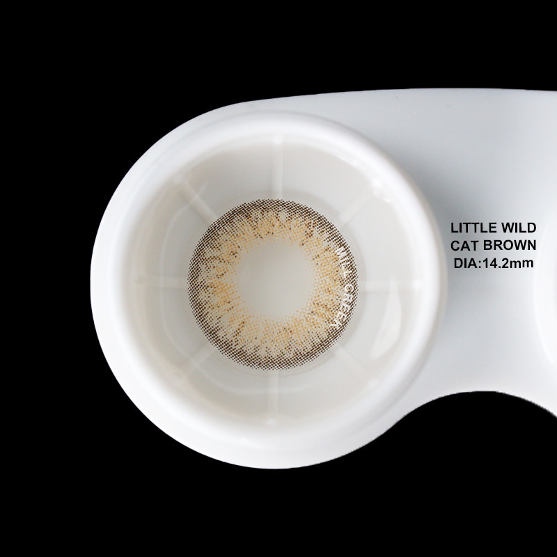 Little Wild Cat Brown Green Amber Contact Lenses Blue Prescription Contacts