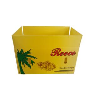 Quality Corrugated Plastic Storage Box OEM / ODM Accepted wholesale