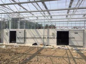 Quality 150mm Thickness Farm Cold Room for Agricultural Temperature Control wholesale