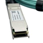 100Gb/S QSFP28 Indoor Fiber Optic Cable MFA1A00-C100 Passive Copper Cable