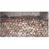 Buy cheap Dried Shiitake Mushroom Spawn from wholesalers