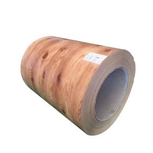 Quality Pre Coated PPGI Coil CGCC Colour Coated Steel Coils 508mm/610mm ID wholesale