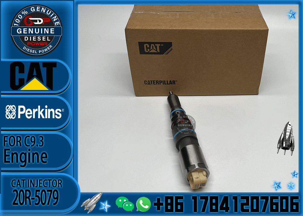 Diesel Fuel Common Rail Injector For456-3493 4563493 456-3544 20R-5079 for C9.3 Cat Excavator 336E 336F C7 Diesel Engine