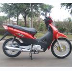 Factory direct Brazil cheap import four stroke other motor bike 110CC 125CC cub