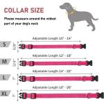 Professional-Grade Reflective Dog Collar - Adjustable Nylon Pet Collar with