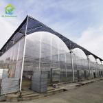 Multi Span Plastic PE Film Agricultural Polytunnel Tomato Strawberry Greenhouse