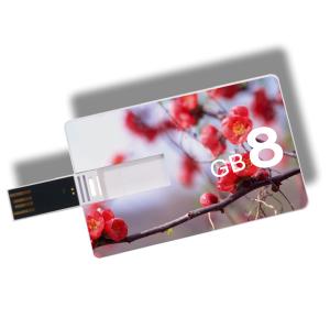 Quality Kongst OEM custom logo credit card usb , promotional gifts usb card , usb business card 1g wholesale