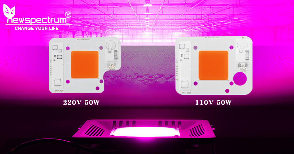 AC110V 50W LED Chip Pink ODM LED Module COB With Driver On Board