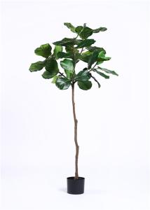 Quality Evergreen Artificial Ficus Tree Longlife Anti UV For Public Area Decoration wholesale