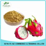 Food Addictive Dragon Fruit Powder Pitaya Extract