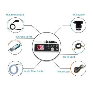 Quality LED 100W 4K Endoscopy Camera System Built In Light Source For Laparoscope wholesale