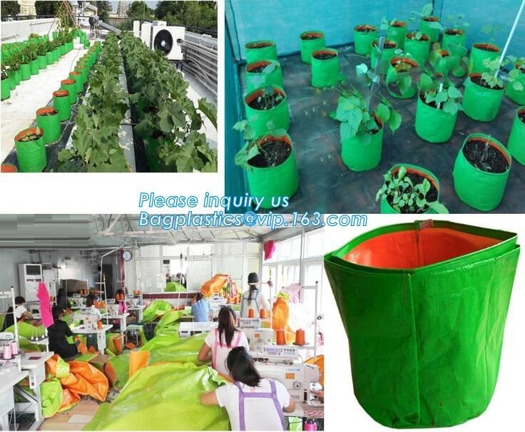 100 /200/300 gallon tan tree grow bag 100gallon grow bag for plant trees,vegetables grow bags planting bags growing bags