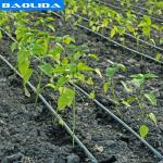 Agricultural Greenhouse Irrigation System / Greenhouse Boom Irrigation Systems