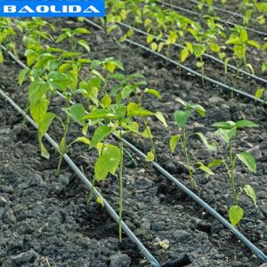 Quality Agricultural Greenhouse Irrigation System / Greenhouse Boom Irrigation Systems wholesale