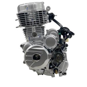 Quality Tricycle Spare Parts CCC Replacement DAYANG 200CC Air-cooled Motorcycles Engine Assembly wholesale